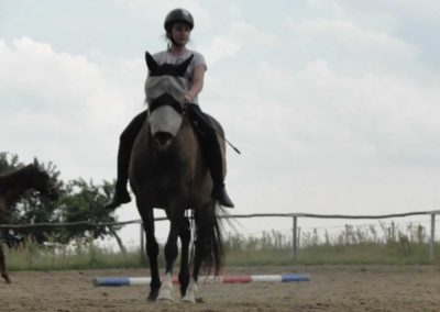 oboz-konie-2016-3-2-0144