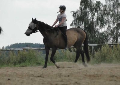 oboz-konie-2016-3-2-0153