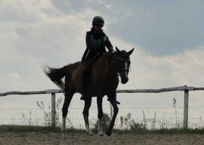 oboz-konie-2016-3-2-0156