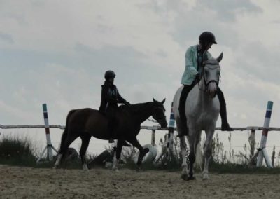 oboz-konie-2016-3-2-0159