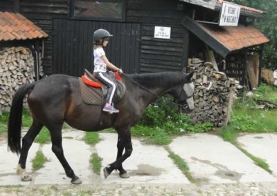 oboz-konie-2016-3-3-0013