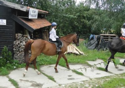 oboz-konie-2016-3-3-0014