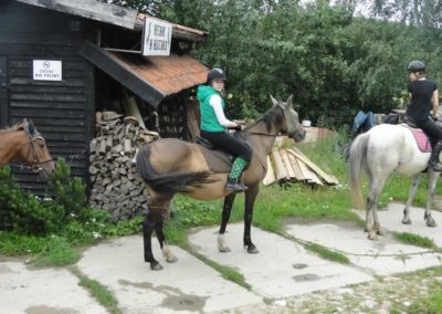 oboz-konie-2016-3-3-0016