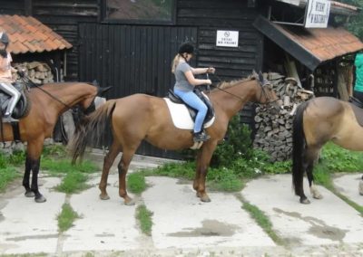 oboz-konie-2016-3-3-0017