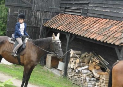 oboz-konie-2016-3-3-0019