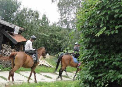 oboz-konie-2016-3-3-0031