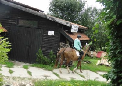 oboz-konie-2016-3-3-0032