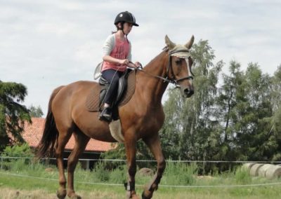 oboz-konie-2016-3-3-0041