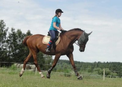 oboz-konie-2016-3-3-0049