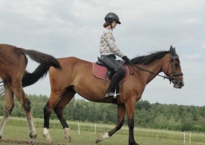 oboz-konie-2016-3-3-0083