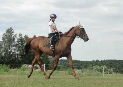 oboz-konie-2016-3-3-0085