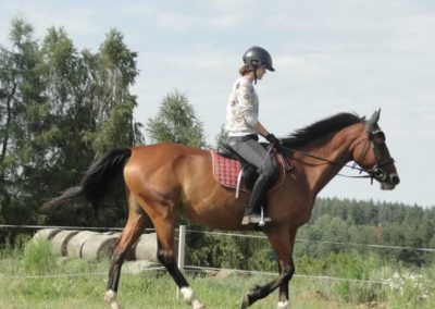 oboz-konie-2016-3-3-0093