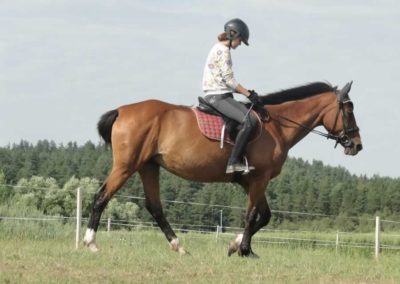 oboz-konie-2016-3-3-0094