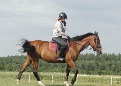 oboz-konie-2016-3-3-0095