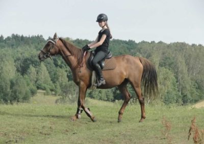 oboz-konie-2016-3-3-0124
