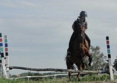 oboz-konie-2016-3-3-0165