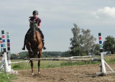 oboz-konie-2016-3-3-0173