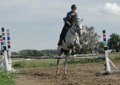 oboz-konie-2016-3-3-0174