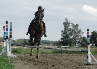 oboz-konie-2016-3-3-0178