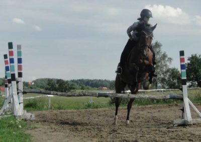 oboz-konie-2016-3-3-0179
