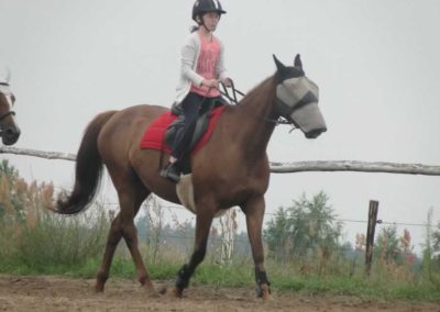 oboz-konie-2016-3-4-0003