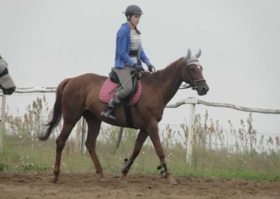 oboz-konie-2016-3-4-0004
