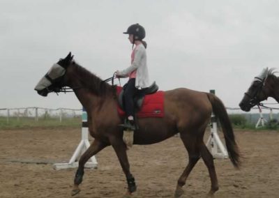 oboz-konie-2016-3-4-0018