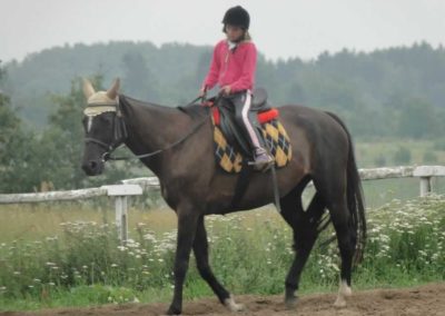 oboz-konie-2016-3-4-0035