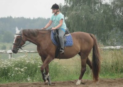 oboz-konie-2016-3-4-0037