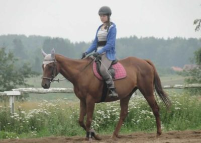 oboz-konie-2016-3-4-0044