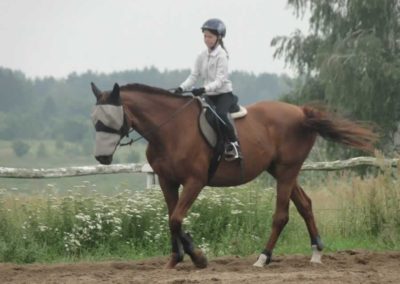 oboz-konie-2016-3-4-0045