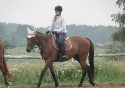 oboz-konie-2016-3-4-0046