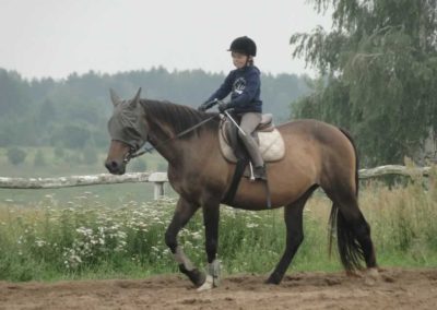 oboz-konie-2016-3-4-0047