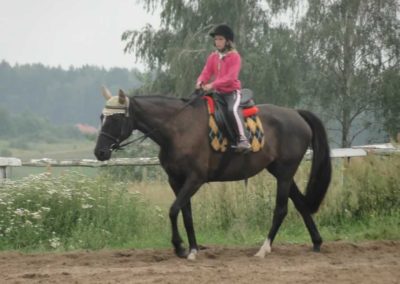 oboz-konie-2016-3-4-0048