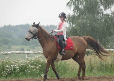 oboz-konie-2016-3-4-0049