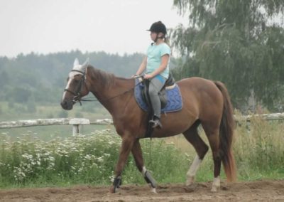 oboz-konie-2016-3-4-0050