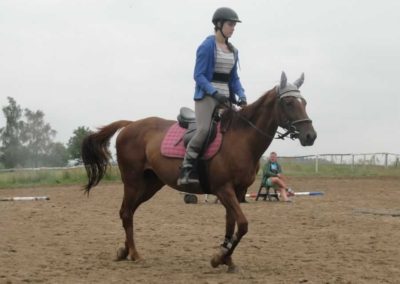 oboz-konie-2016-3-4-0051