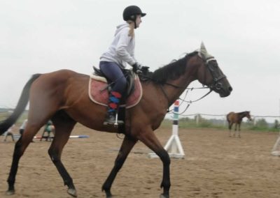 oboz-konie-2016-3-4-0053