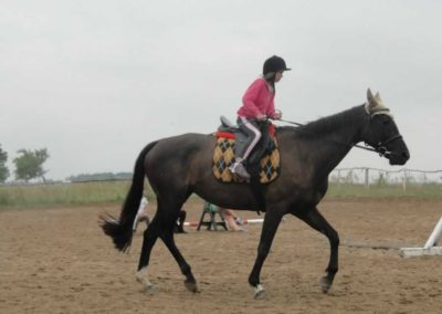 oboz-konie-2016-3-4-0054