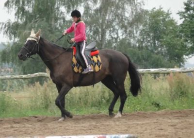 oboz-konie-2016-3-4-0057