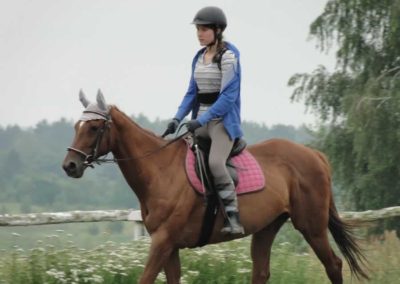 oboz-konie-2016-3-4-0063