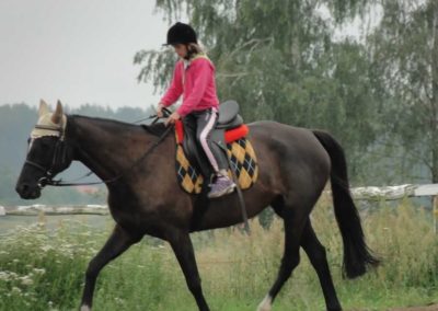 oboz-konie-2016-3-4-0064