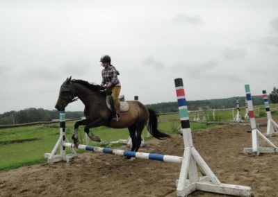 oboz-konie-2016-3-4-0081