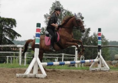 oboz-konie-2016-3-4-0124