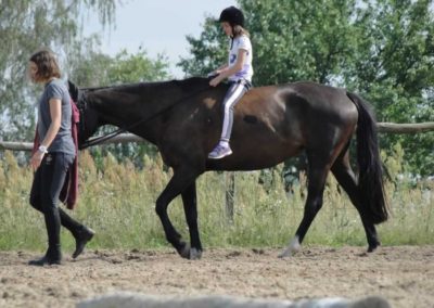 oboz-konie-2016-3-4-0169