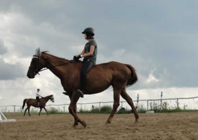 oboz-konie-2016-3-4-0222