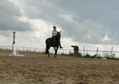 oboz-konie-2016-3-4-0226