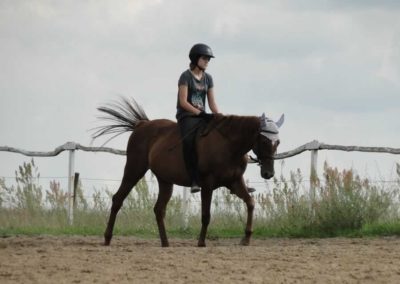 oboz-konie-2016-3-4-0251