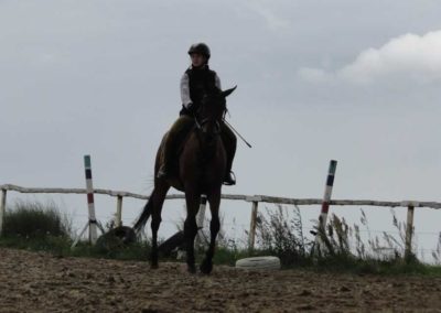 oboz-konie-2016-3-6-0091