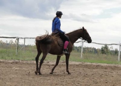oboz-konie-2016-3-6-0155